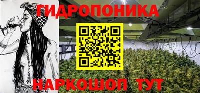 трава Аргун