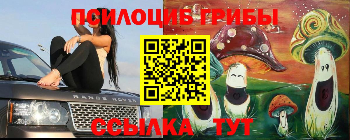 Галлюциногенные грибы мицелий Белебей