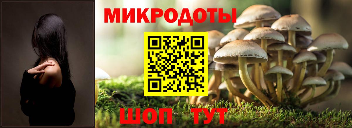 хочу наркоту  Вход с VPN  Белебей  Галлюциногенные грибы мухоморы 